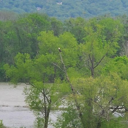 Elder Mountain Room At Tennessee Riverplace تشاتانوغا المظهر الخارجي الصورة