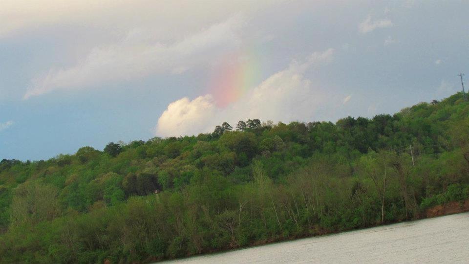 Elder Mountain Room At Tennessee Riverplace تشاتانوغا المظهر الخارجي الصورة