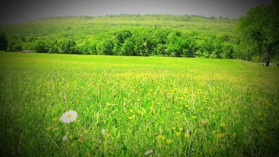 Elder Mountain Room At Tennessee Riverplace تشاتانوغا المظهر الخارجي الصورة