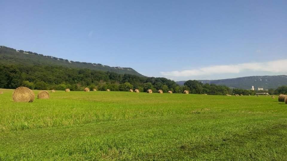 Elder Mountain Room At Tennessee Riverplace تشاتانوغا المظهر الخارجي الصورة