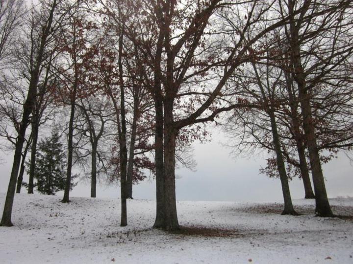 Elder Mountain Room At Tennessee Riverplace تشاتانوغا المظهر الخارجي الصورة