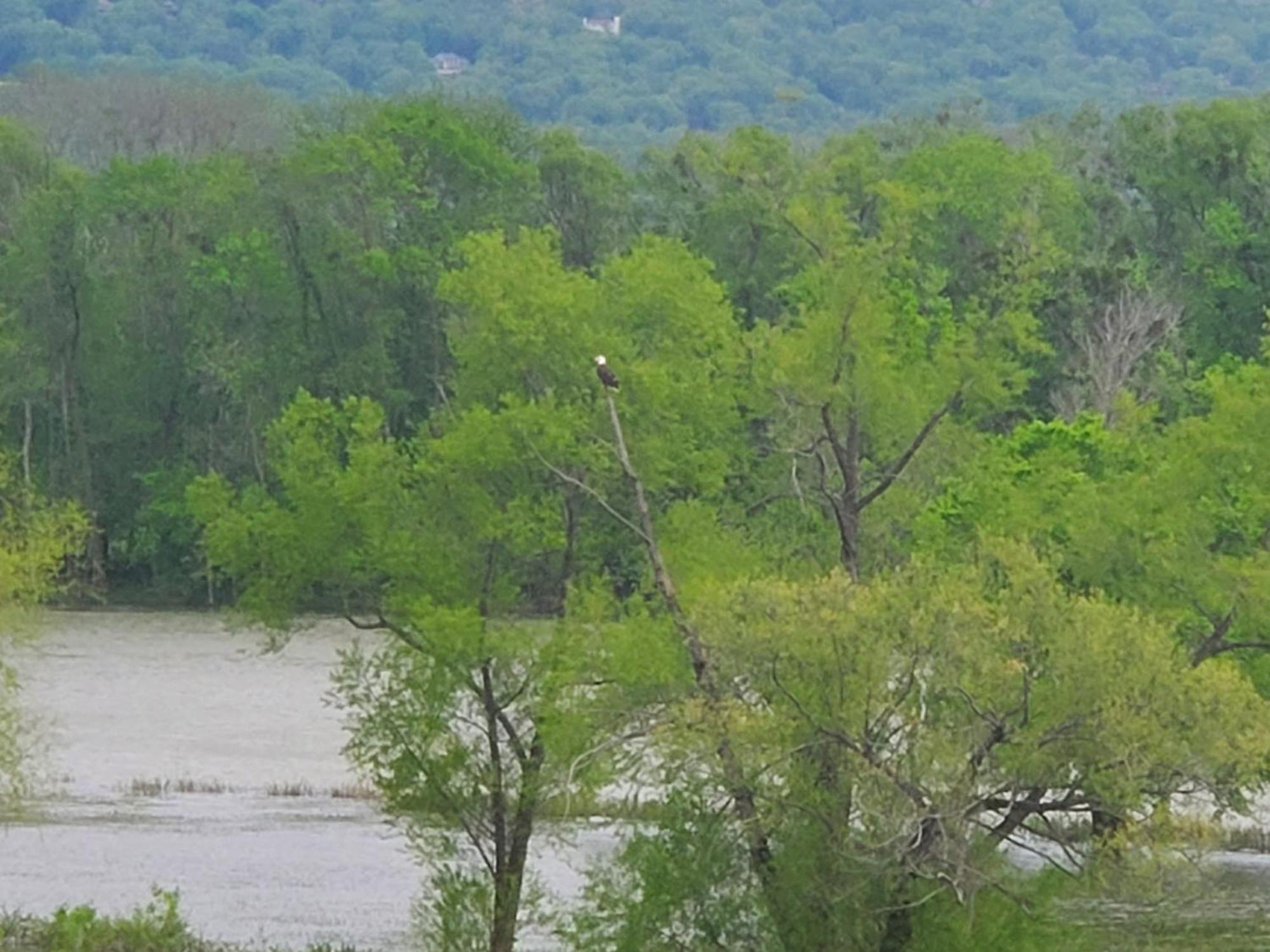 Elder Mountain Room At Tennessee Riverplace تشاتانوغا المظهر الخارجي الصورة