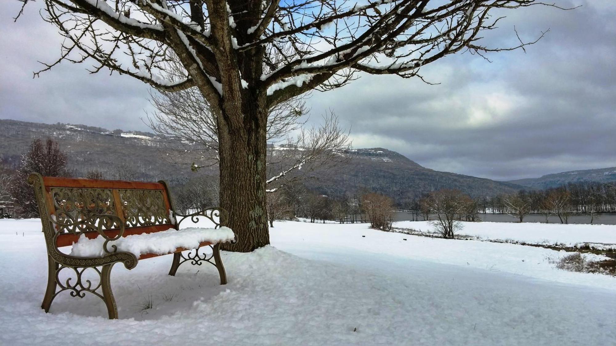 Elder Mountain Room At Tennessee Riverplace تشاتانوغا المظهر الخارجي الصورة