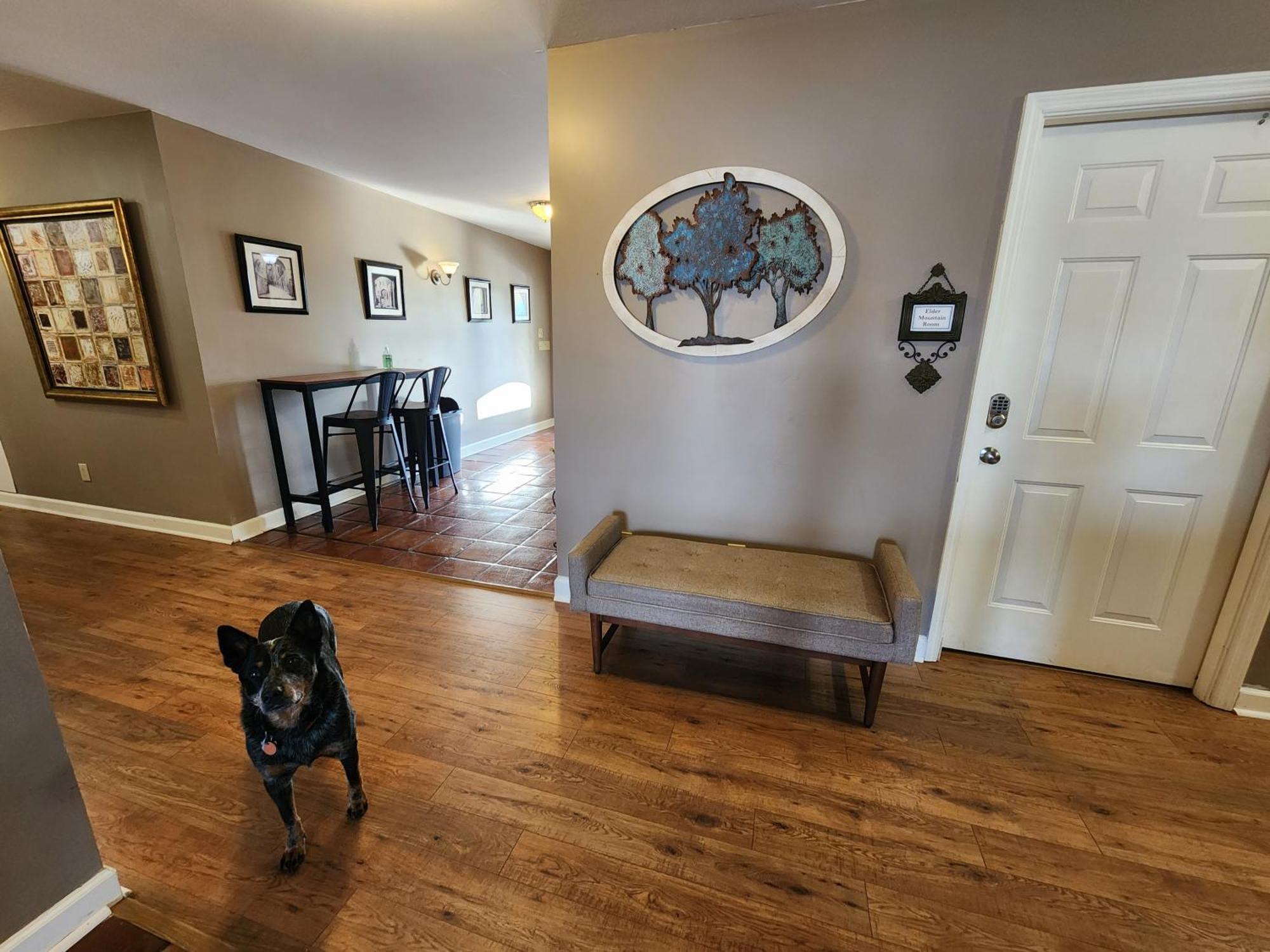 Elder Mountain Room At Tennessee Riverplace تشاتانوغا المظهر الخارجي الصورة